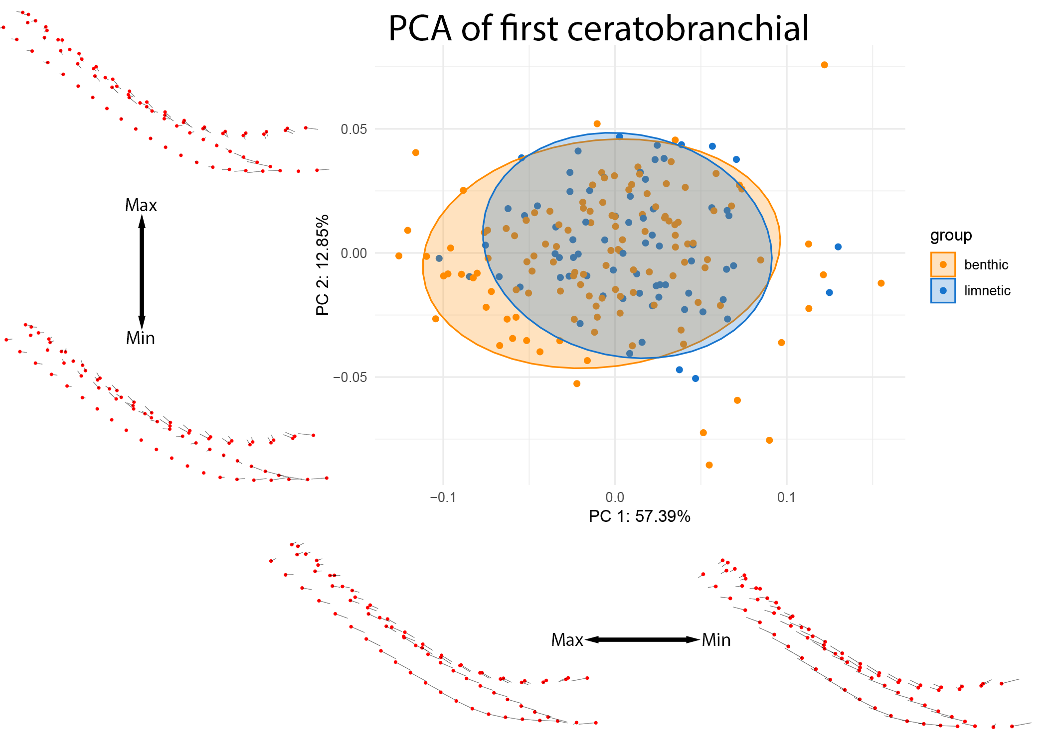 Figure 10: PCA of CB1 colored by lake ecotype. Warps are indicated at the extremes of each axis by vectors drawn from a mean shape (red).