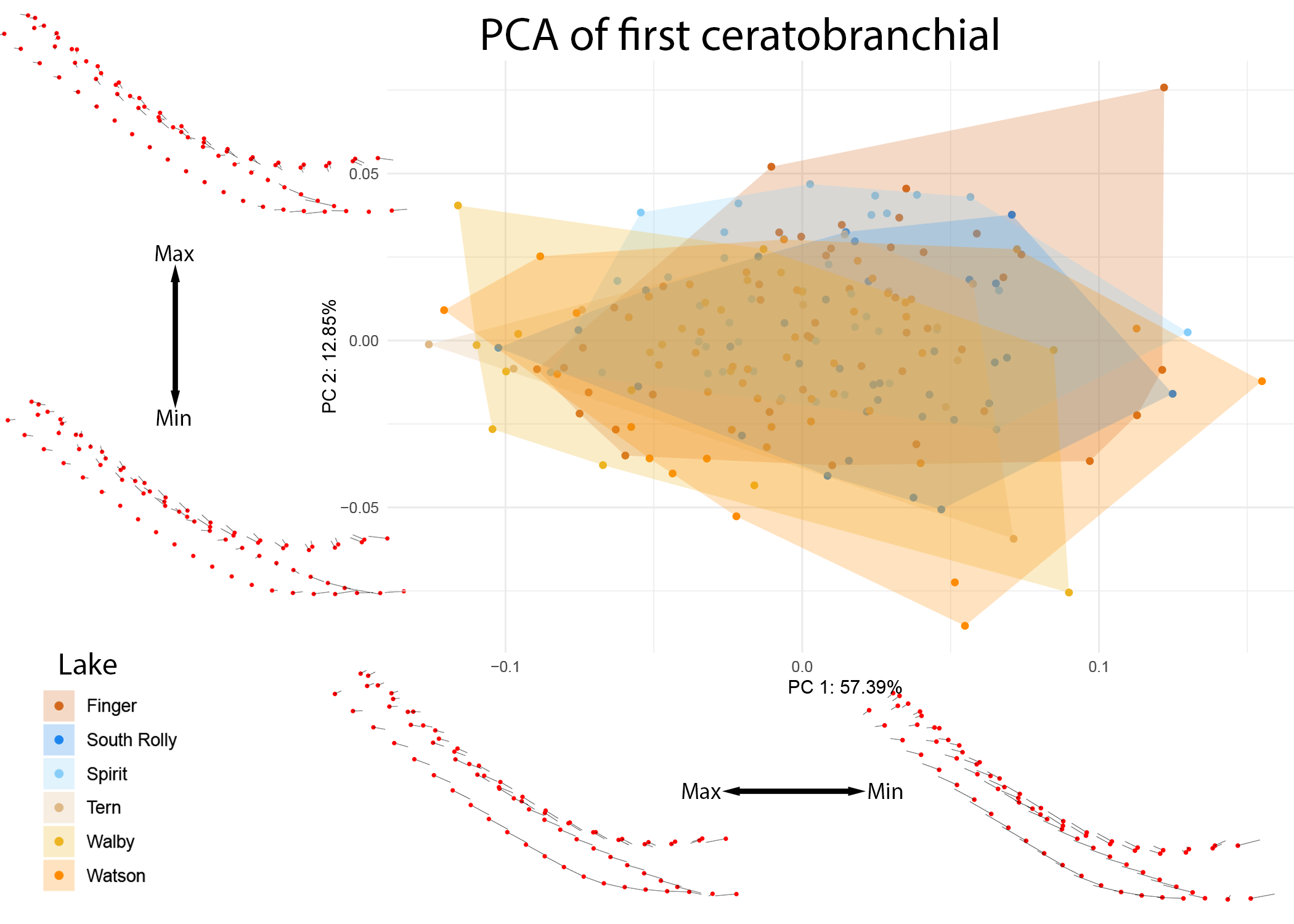 Figure 12: PCA of CB1 colored by individual lake. Benthic lakes are indicated in shades of red and orange, while limnetic lakes are indicated in shades of blue. Warps are indicated at the extremes of each axis by vectors drawn from a mean shape (red).