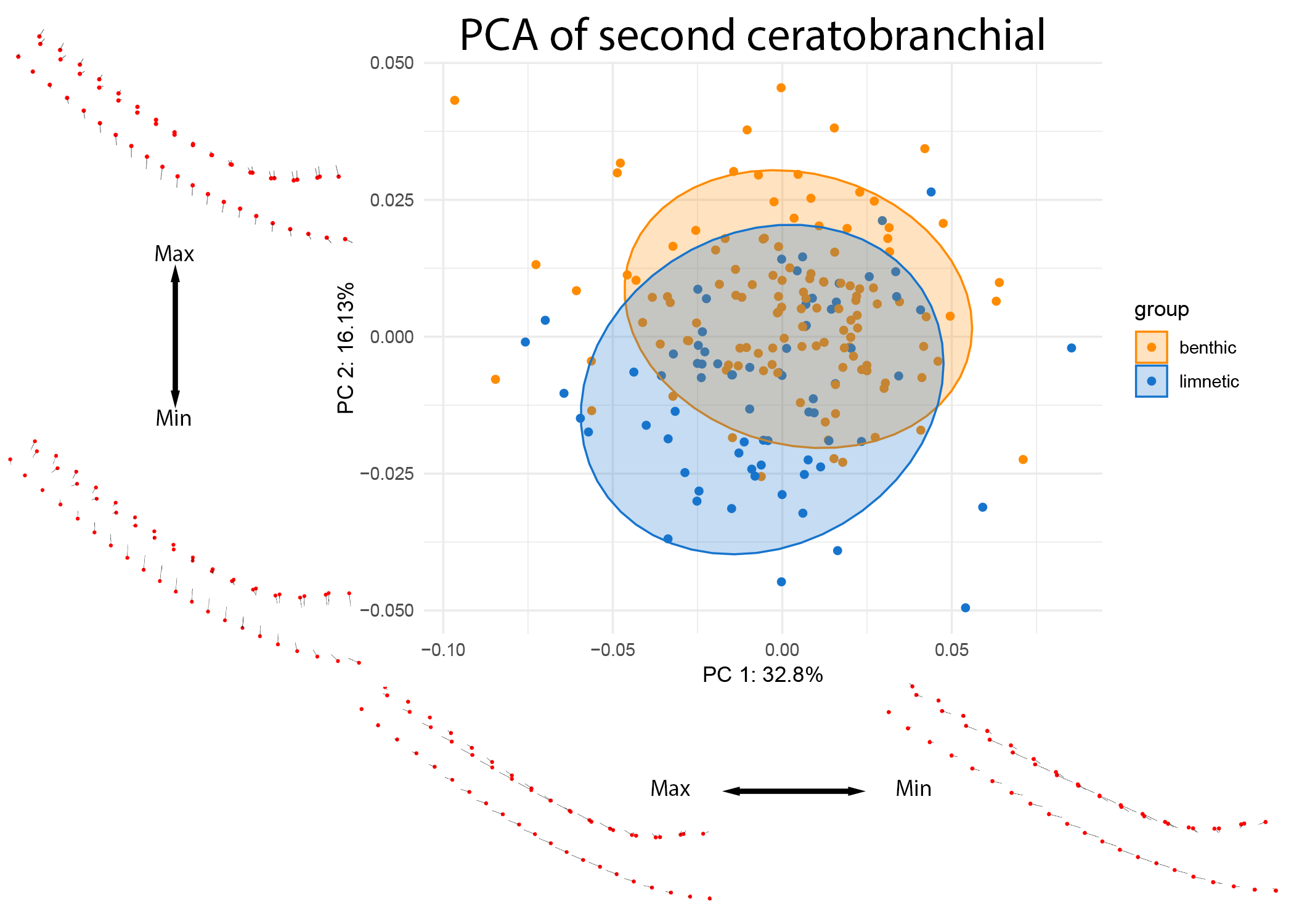 Figure 11: PCA of CB2 colored by lake ecotype. Warps are indicated at the extremes of each axis by vectors drawn from a mean shape (red).