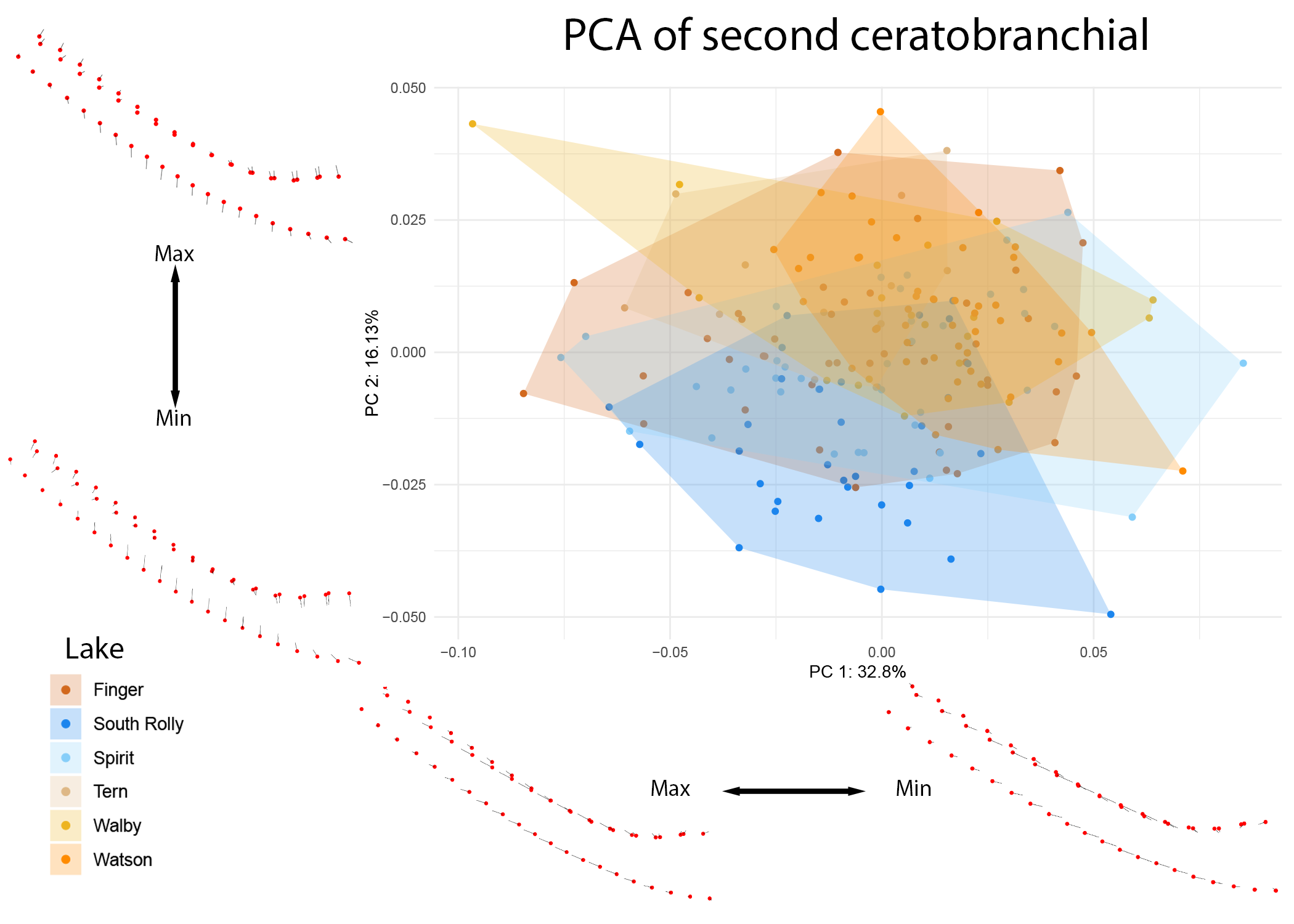 Figure 13: PCA of CB2 colored by individual lake. Benthic lakes are indicated in shades of red and orange, while limnetic lakes are indicated in shades of blue. Warps are indicated at the extremes of each axis by vectors drawn from a mean shape (red).