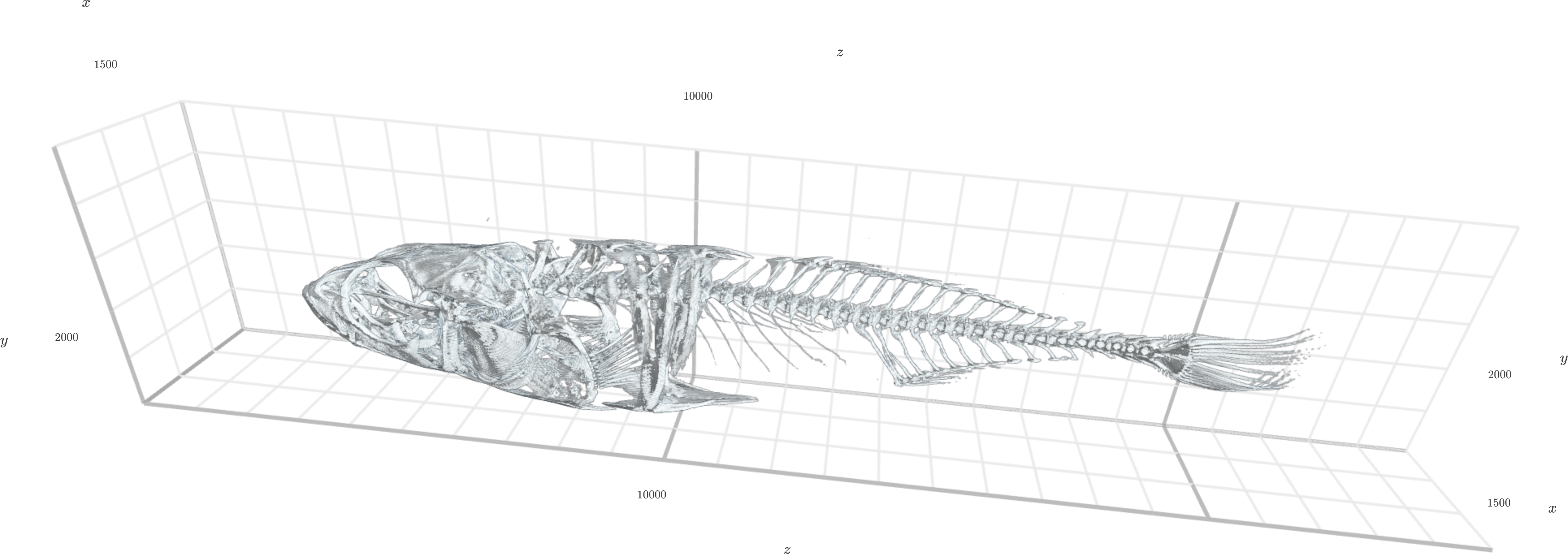 Figure 7: Three-dimensional preview of extracted region, automatically thresholded.