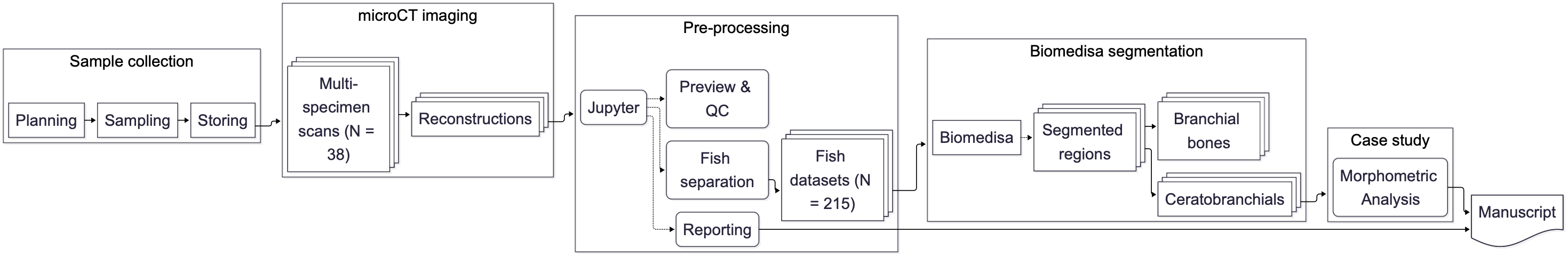 Figure 1: Workflow overview